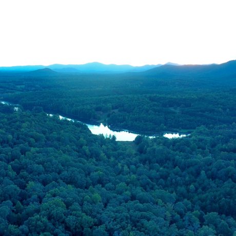 aerial view of river and forest