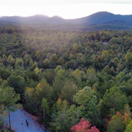 aerial view of forest and mountains