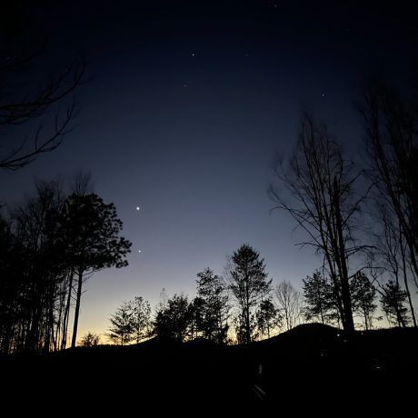 night time sky with trees in backdrop