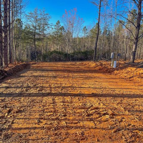 dirt road in wooded setting