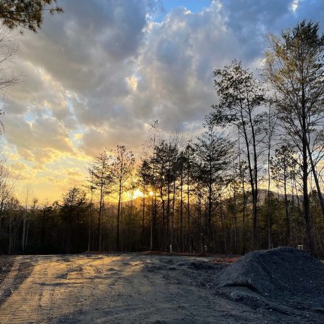 dirt road in wooded setting at dusk