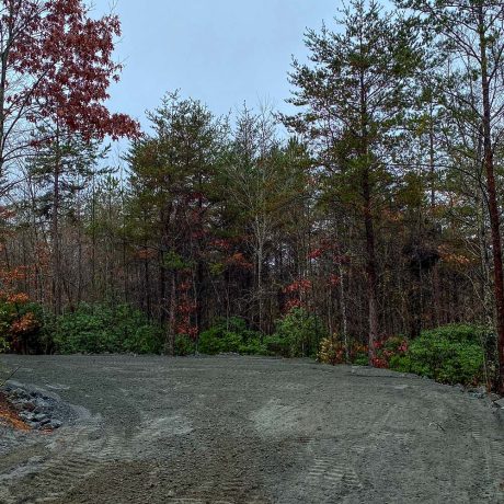 dirt road in wooded area