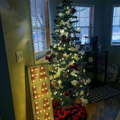 decorated, lit up Christmas tree in dark room with windows